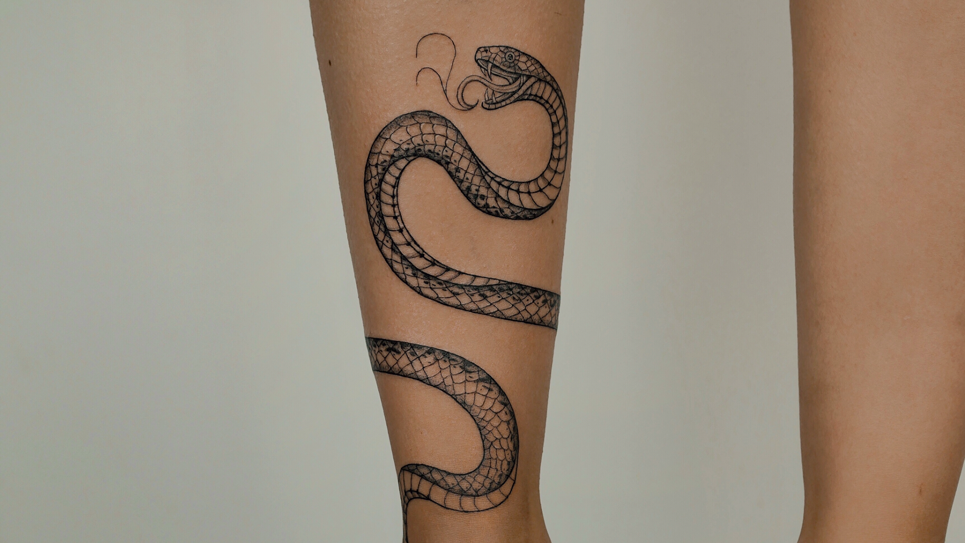 a woman's leg with a snake narben tattoo on it, bayreuth, germany