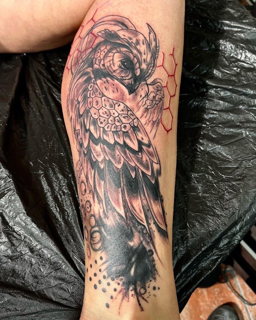 a cover-up tattoo of an owl with a skull on its arm, bernkastel-wittlich, germany
