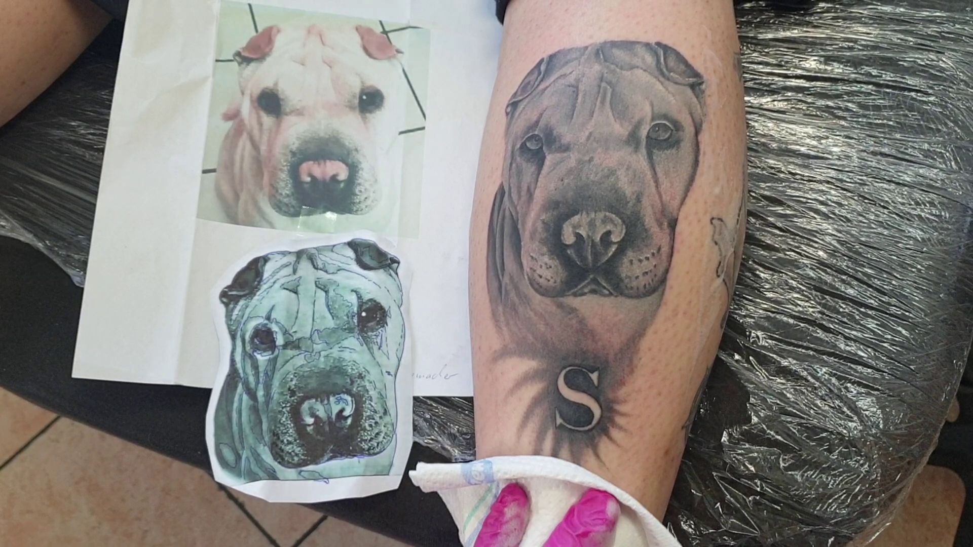 a narben tattoo of a dog and a picture of a cat, aschaffenburg, germany
