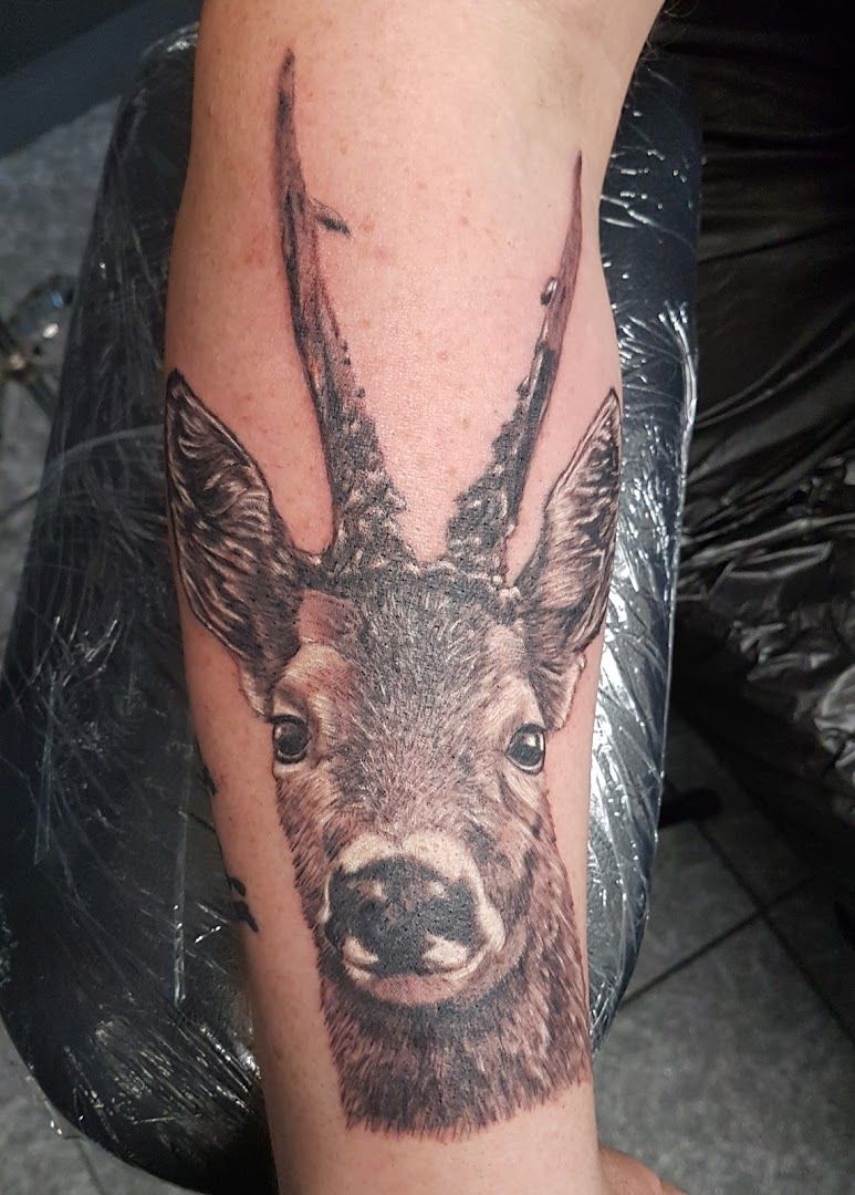 a deer cover-up tattoo on the arm, odenwaldkreis, germany