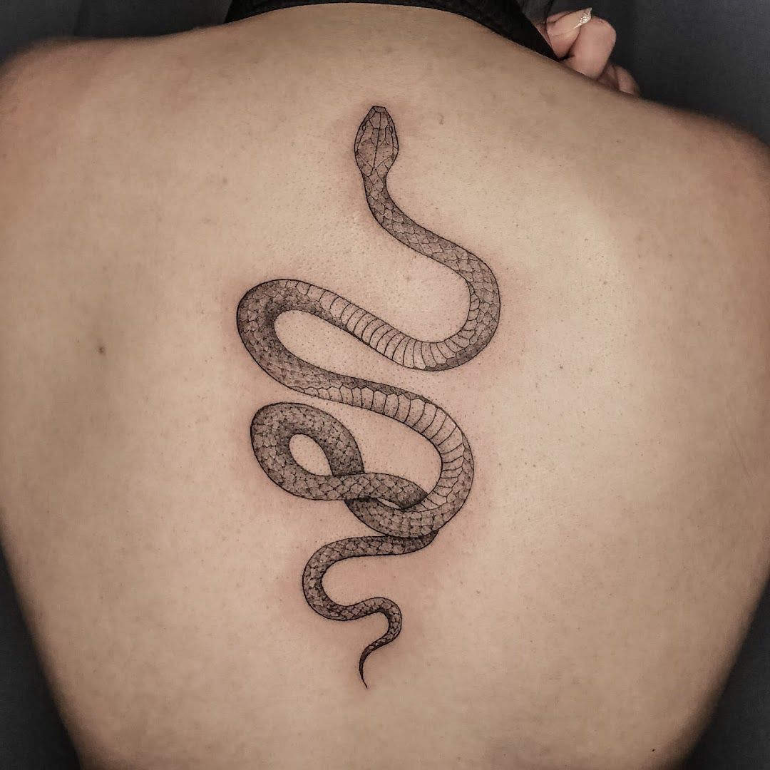 a woman's back with a snake cover-up tattoo on her back, paderborn, germany