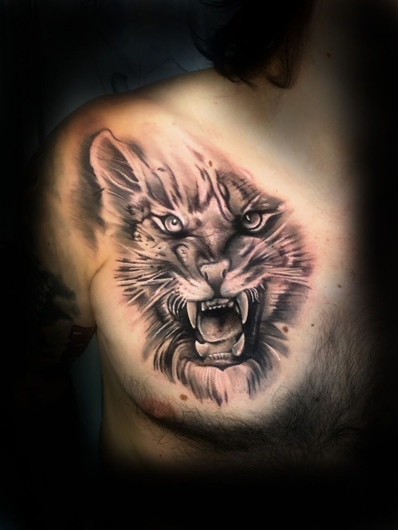 a cover-up tattoo of a tiger on the chest, heidenheim, germany