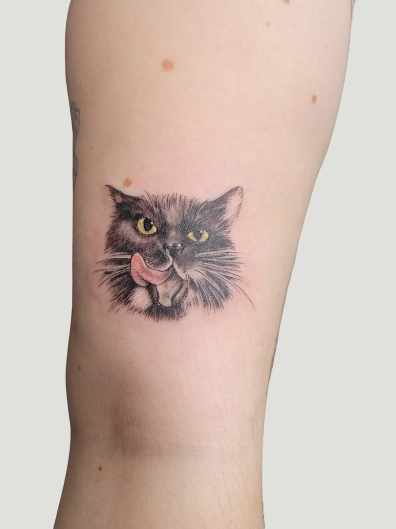 a cat narben tattoo on the arm, birkenfeld, germany