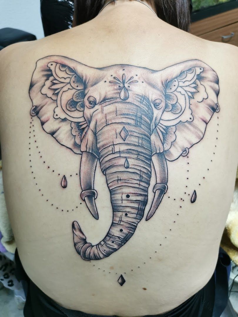 elephant cover-up tattoo on back, dresden, germany