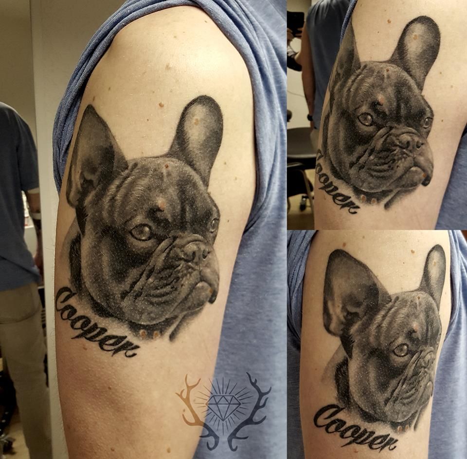 a black and white cover-up tattoo of a french bulldog, vogelsbergkreis, germany