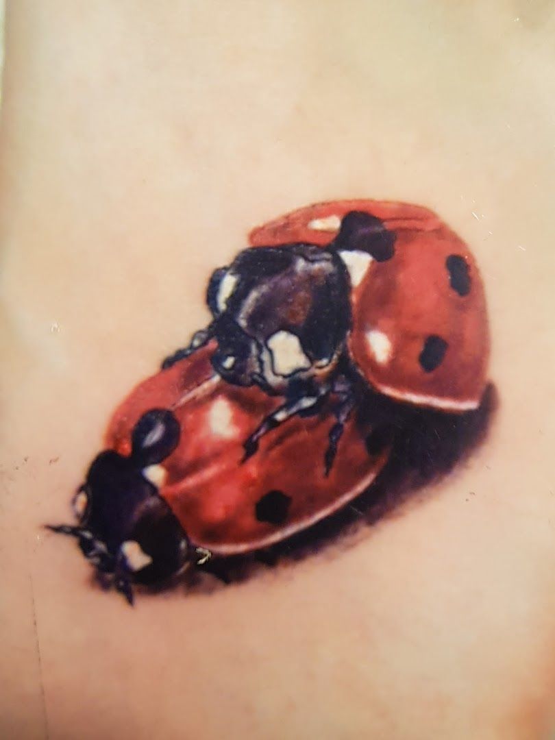 a ladybird narben tattoo on the back of a woman's shoulder, marburg-biedenkopf, germany