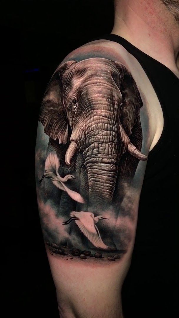 an elephant and birds cover-up tattoo on the arm, wetteraukreis, germany