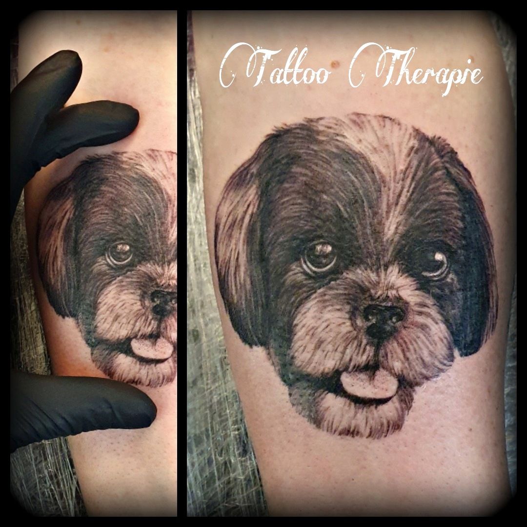 a dog narben tattoo on the arm, schleswig-flensburg, germany