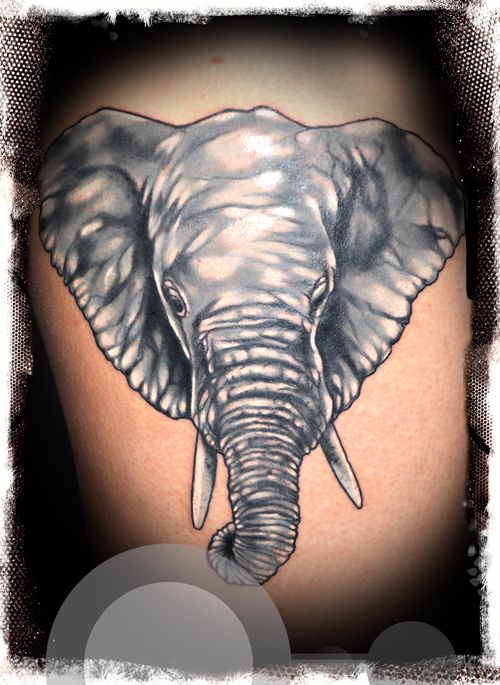 an elephant narben tattoo on the thigh, nürnberg, germany