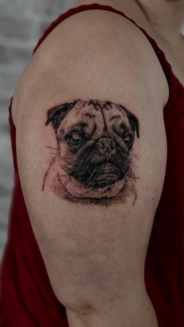 a pug cover-up tattoo on the shoulder, rhein-neckar-kreis, germany