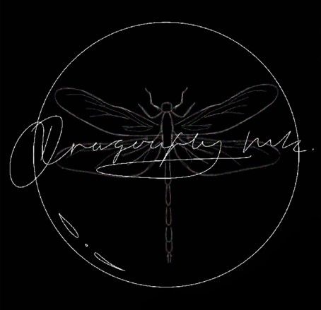 a black and white drawing of a dragonfly on a black background