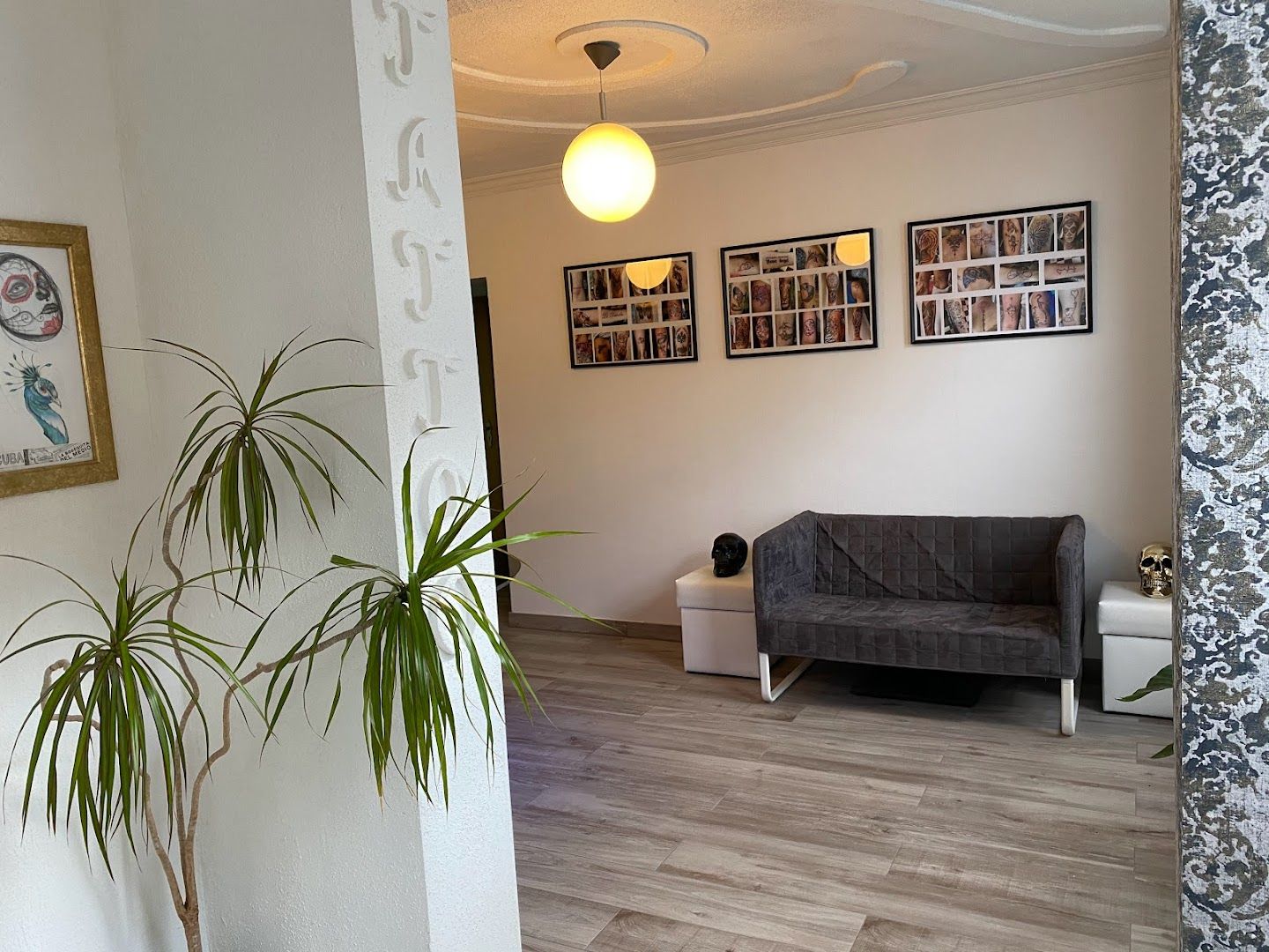 a living room with a couch and a plant