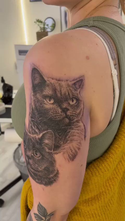 a woman with a cat narben tattoo on her shoulder, cloppenburg, germany