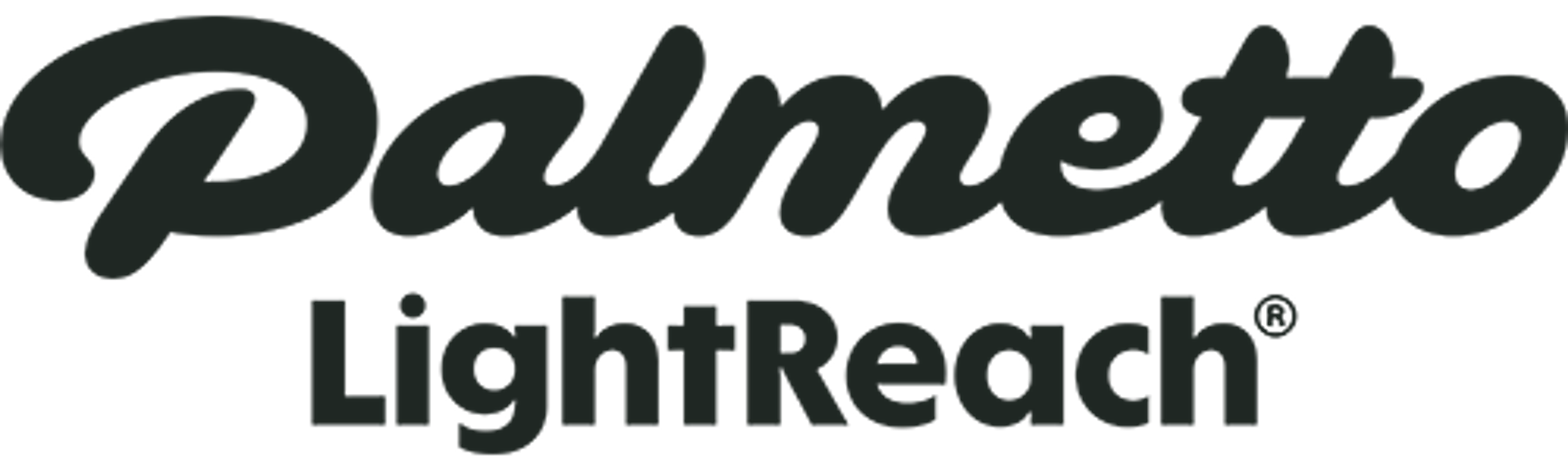 Logo - Palmetto LightReach