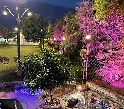 The farm lit for the evening at Rangmanch Farms