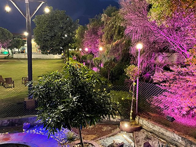 The farm lit for the evening at Rangmanch Farms
