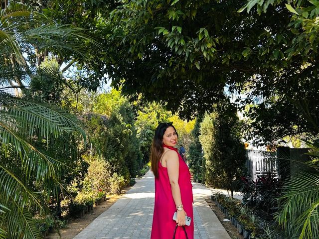 Woman in a pink dress on a paved tree-lined pathway with potted plants at Rangmanch Farms, an outdoor day outing venue in Gurugram near Delhi