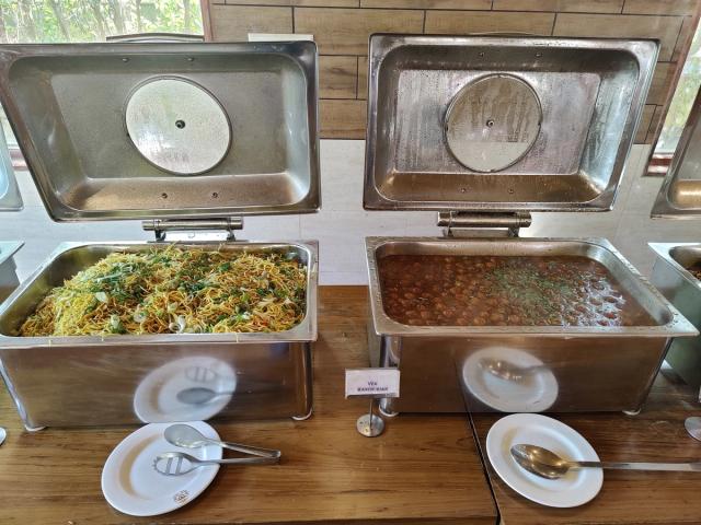 Noodles and a vegetarian side at the live oriental counter — corporate outing buffet with live counters, Rangmanch Farms, Gurugram