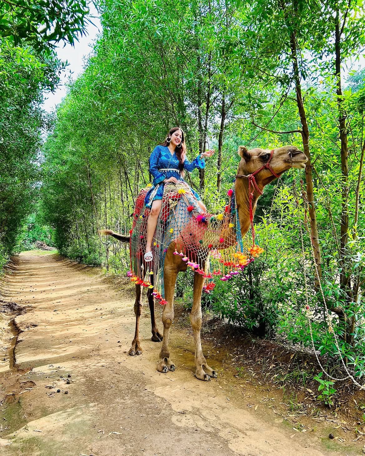 Camel ride along the tree-lined path