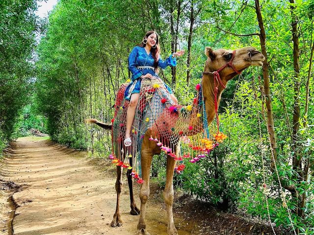 A guest riding a decorated camel down a tree-lined dirt path during a day outing at Rangmanch Farms, an outdoor venue in Gurugram near Delhi