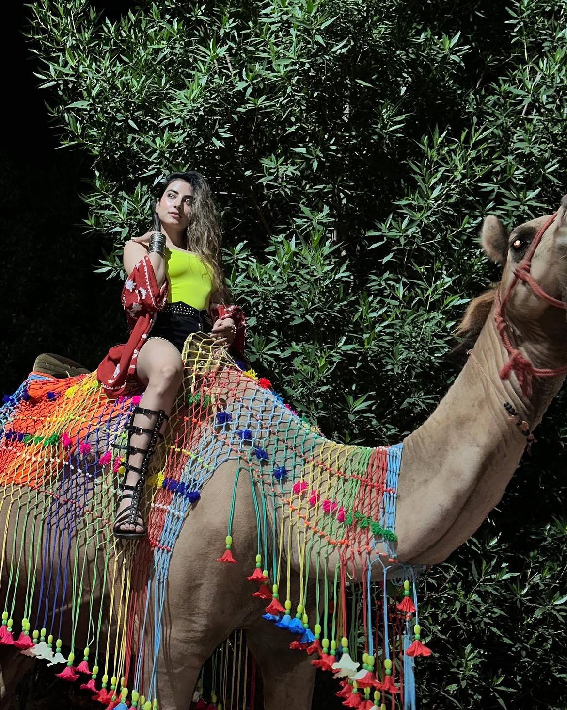 Woman seated on a decorated camel with colourful tasselled draping during an evening event at Rangmanch Farms, an outdoor venue in Gurugram near Delhi
