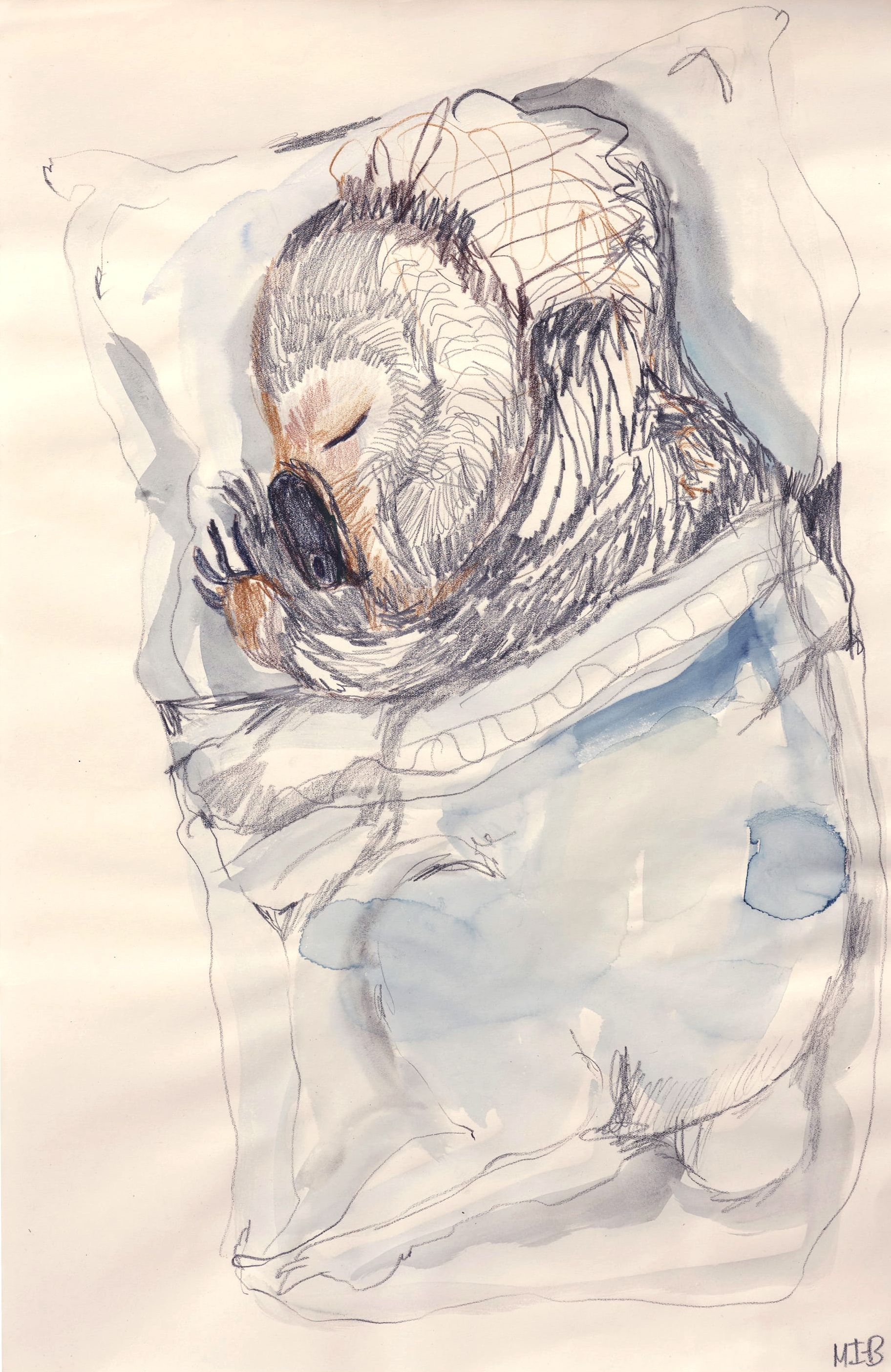 Utan titel / Untitled