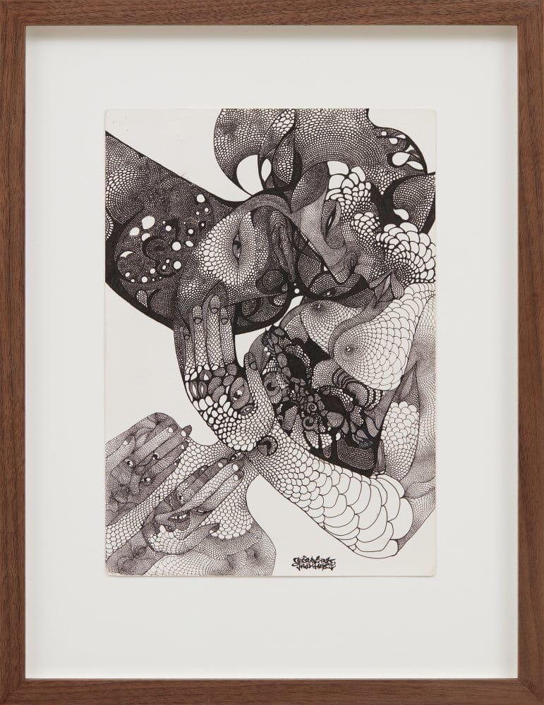 Highlighting the systematic nature of the seemingly chaotic