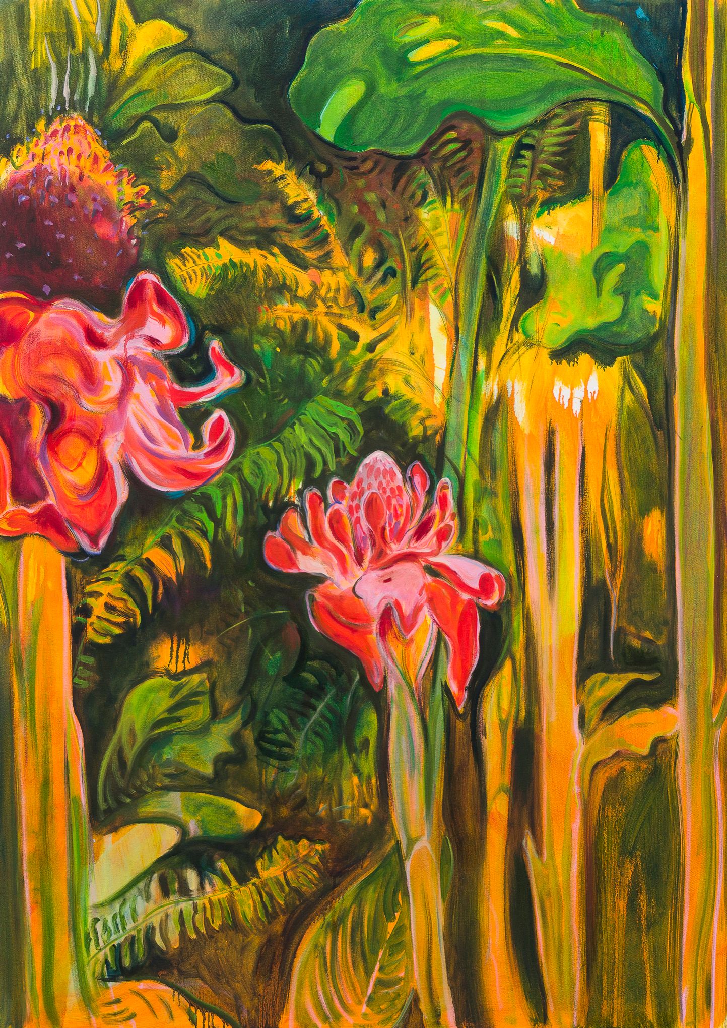 Etlingera elatior/Bastão