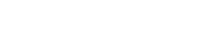 Castle Cleaning White Logo