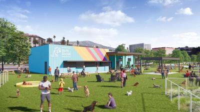 general section image