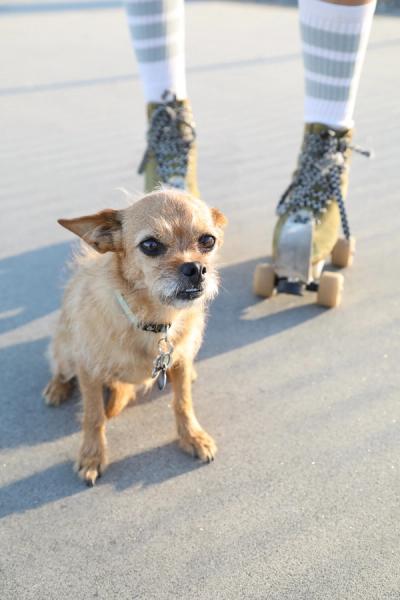 general section image