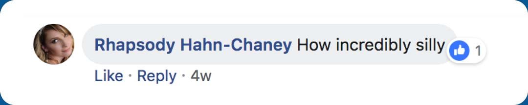 Comment from Rhapsody Hahn-Chaney: "How incredibly silly."