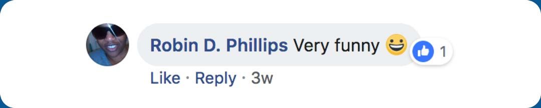 Comment from Robin D. Phillips: "Very funny"