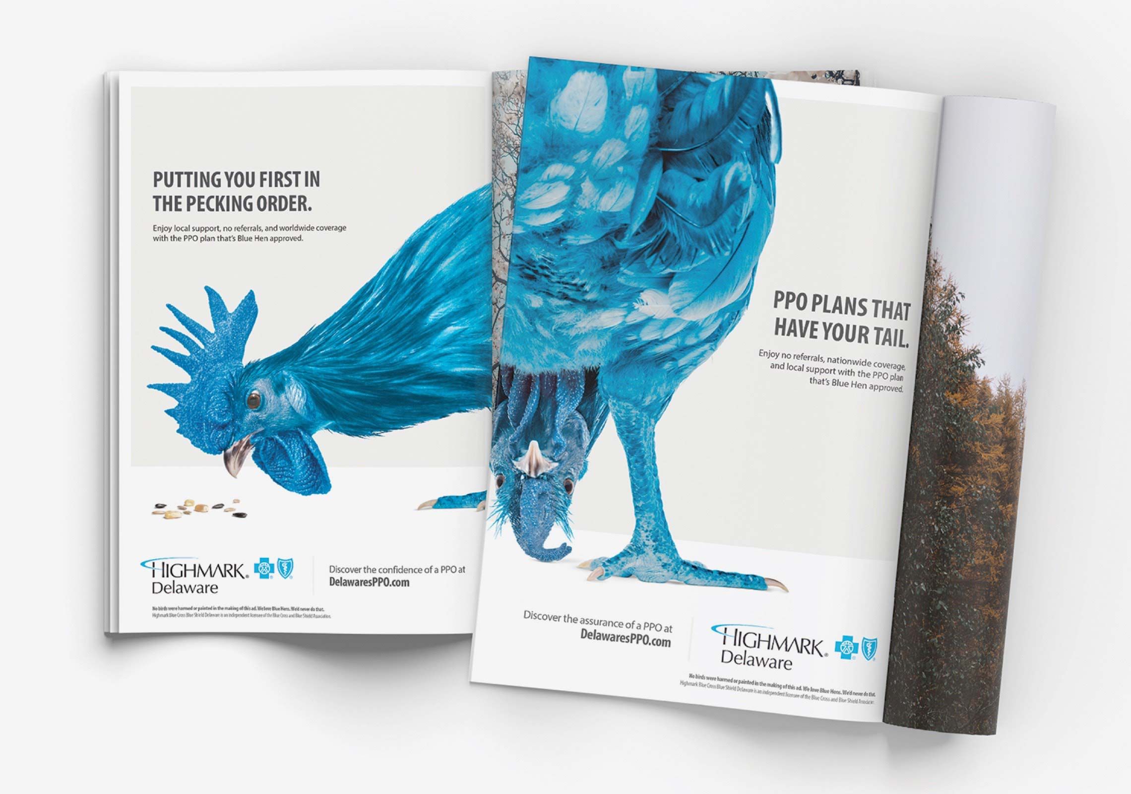 Photograph of two blue hen advertisements in magazines. The first says, "Putting you first in the pecking order." The second says, "PPO plans that have your tail."
