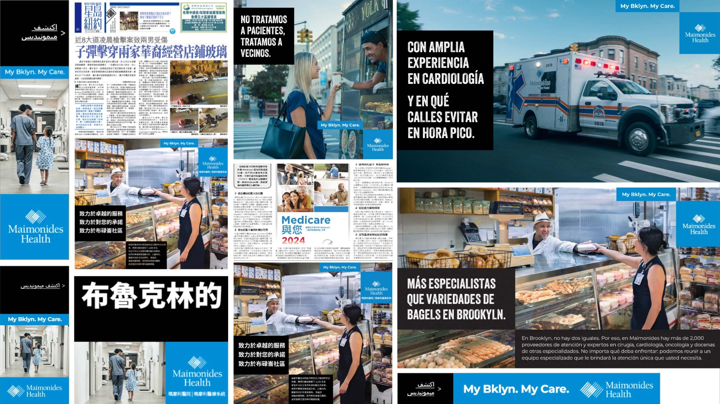A collage of Maimonides advertisements in multiple languages.