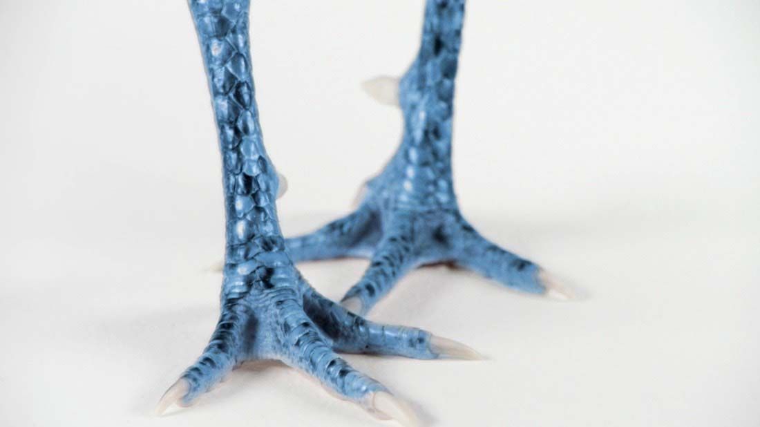 Click to play the blue hen "Spinning" television spot.