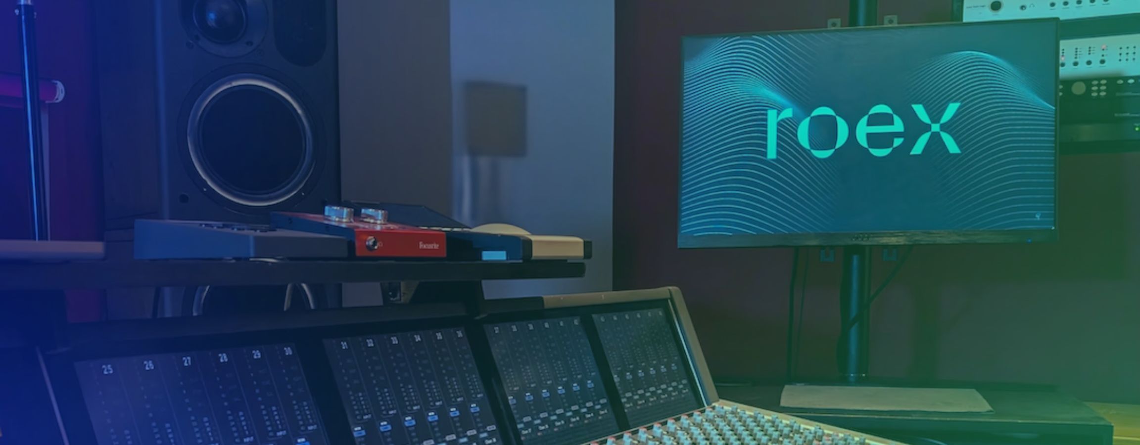 CASE STUDIES - RoEx.jpg