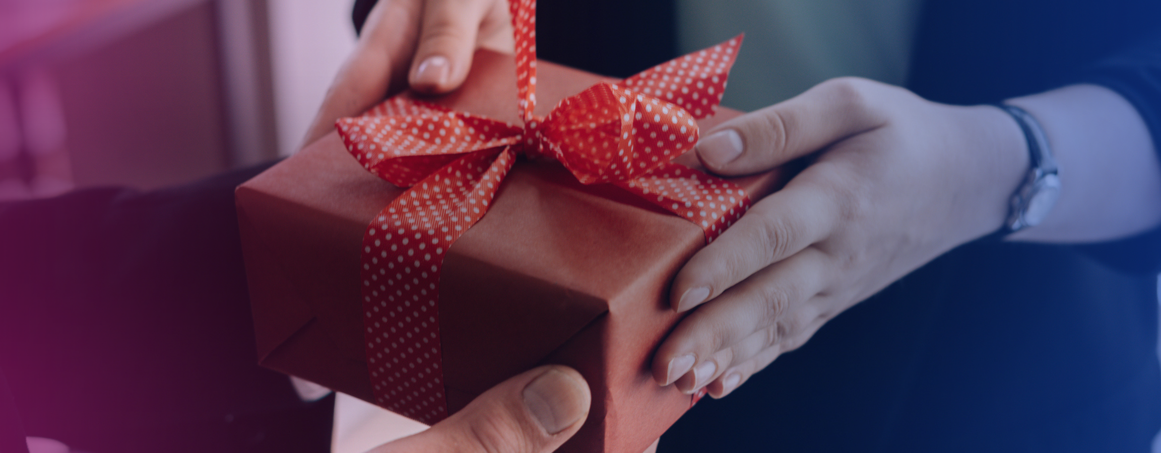 Blogg - Julrepresentation.png