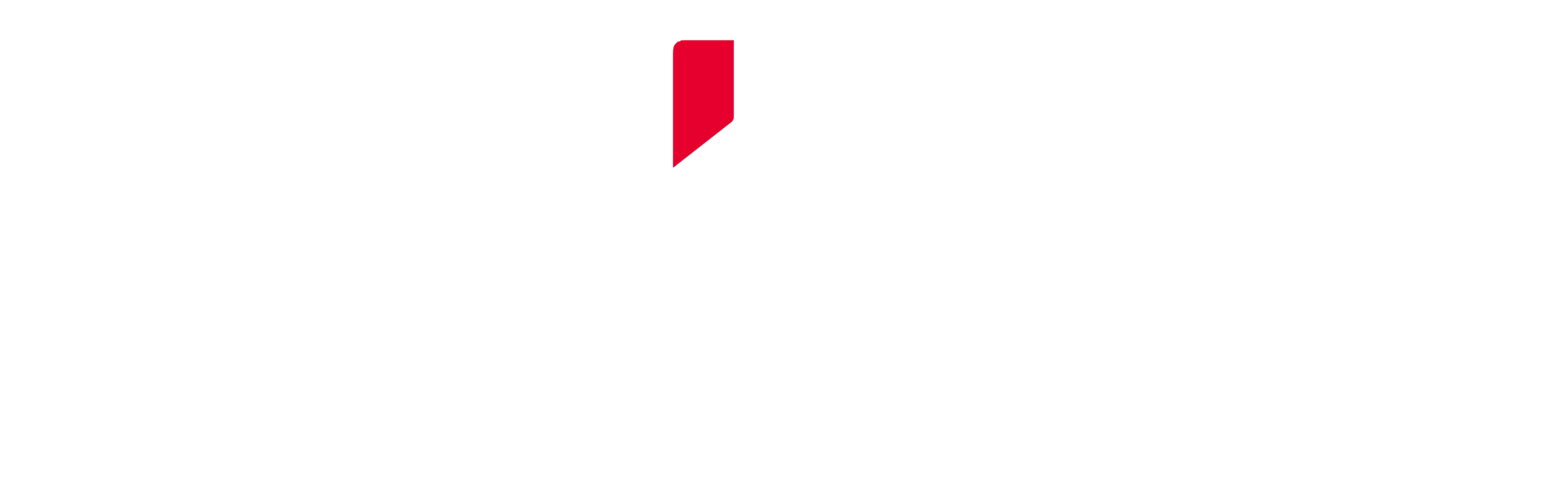 Fujifilm_logo transparent.png