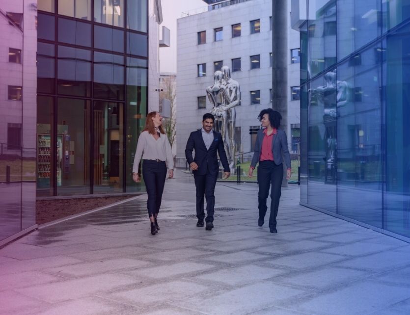 Insights   Mulberry And Blue 100