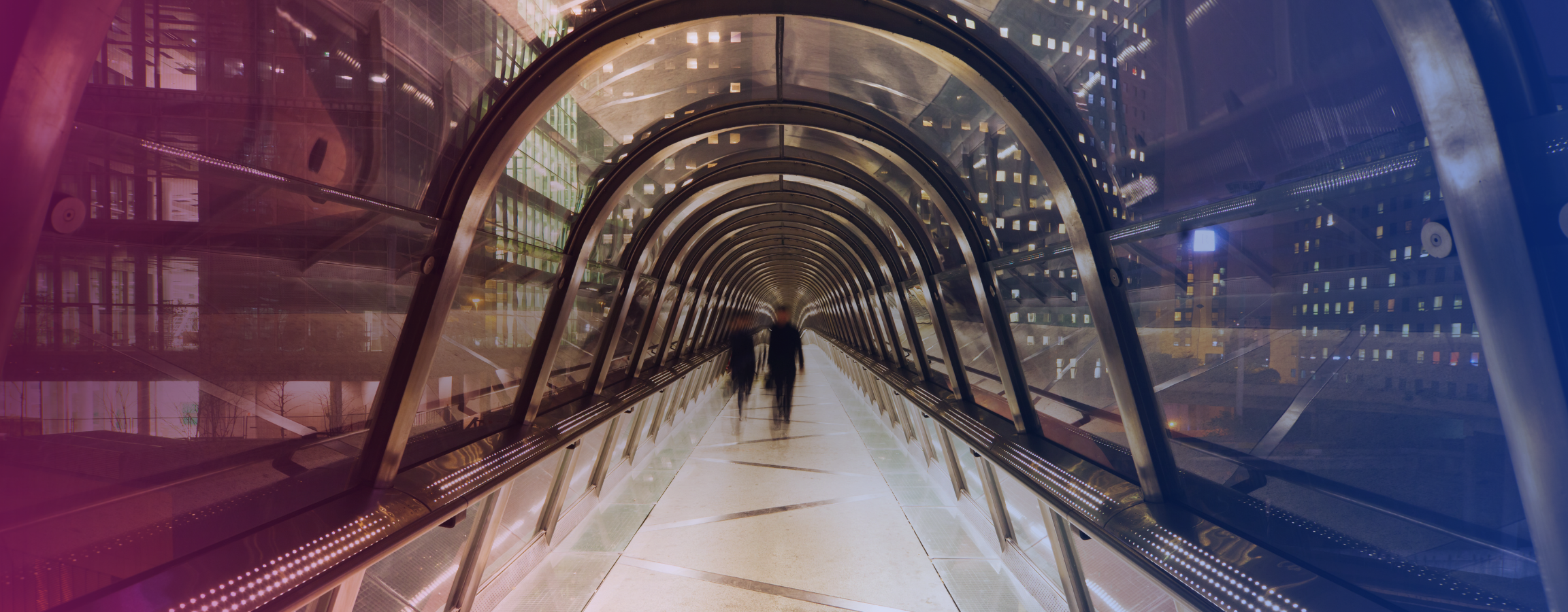 INSIGHTS - Mulberry and Blue (14).png