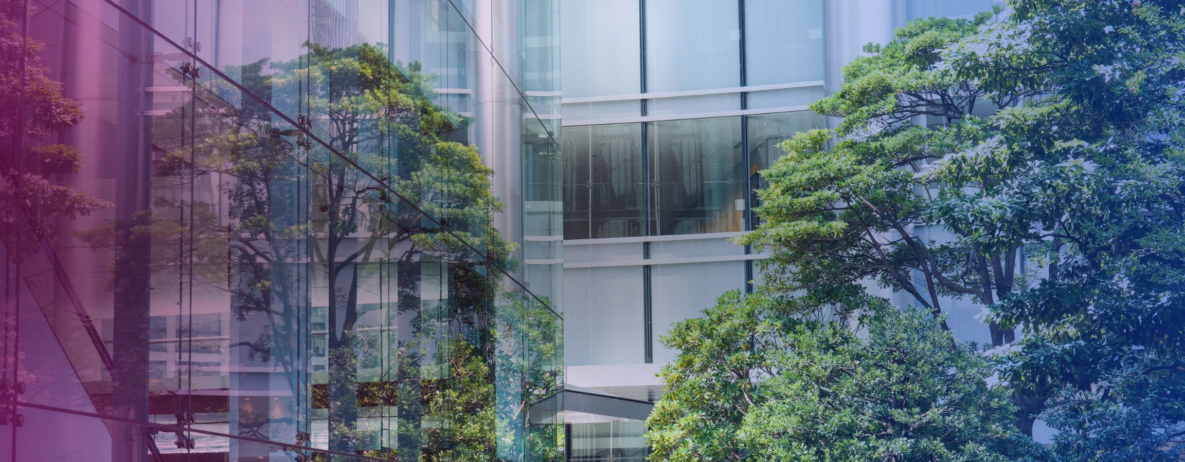 Blogg om gåvor, ideella organisationer.jpg