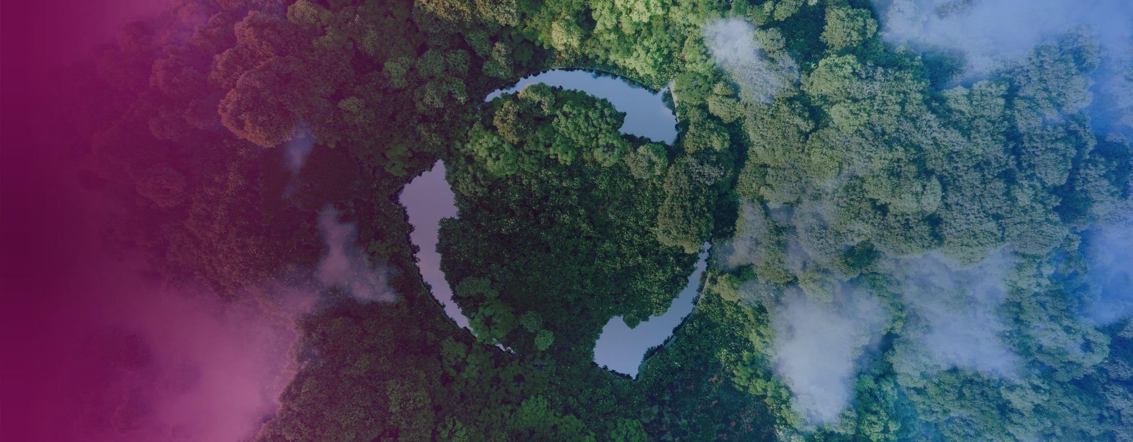 Stock image of a forest with arrows in a cycle