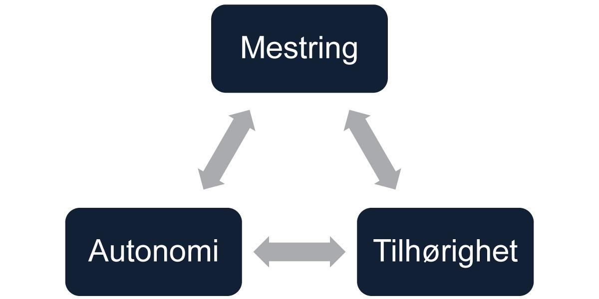 tre grunnleggende psykologiske behov