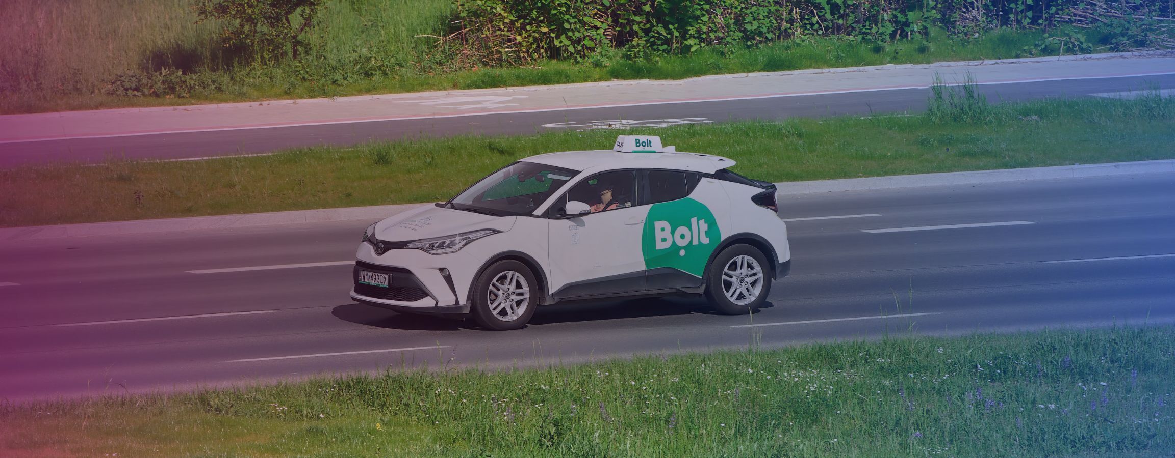 INSIGHTS - Mulberry and Blue (1).jpg