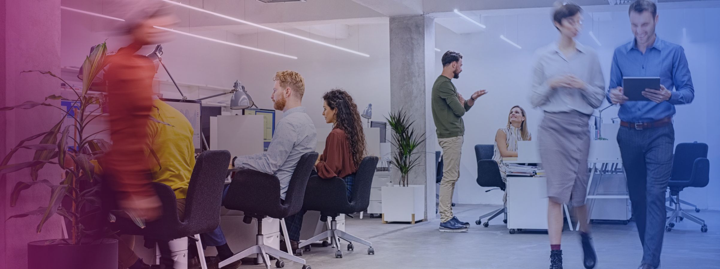 AZ-GRP-Insight-Hero 2403x900 1.jpg