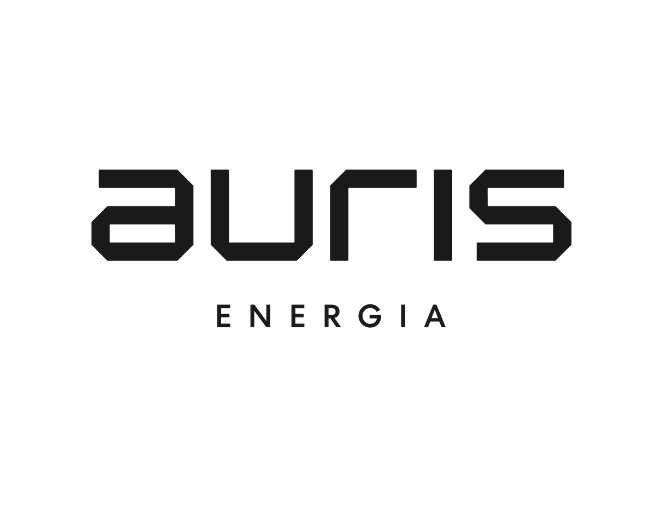 Auris 658 X 506