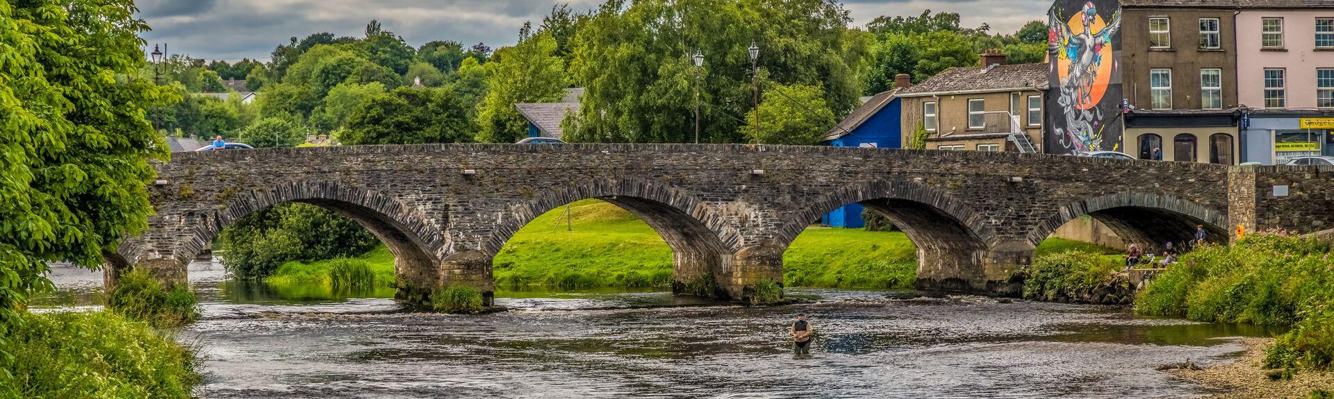 Hero Banner Enniscorthy Ireland.jpg