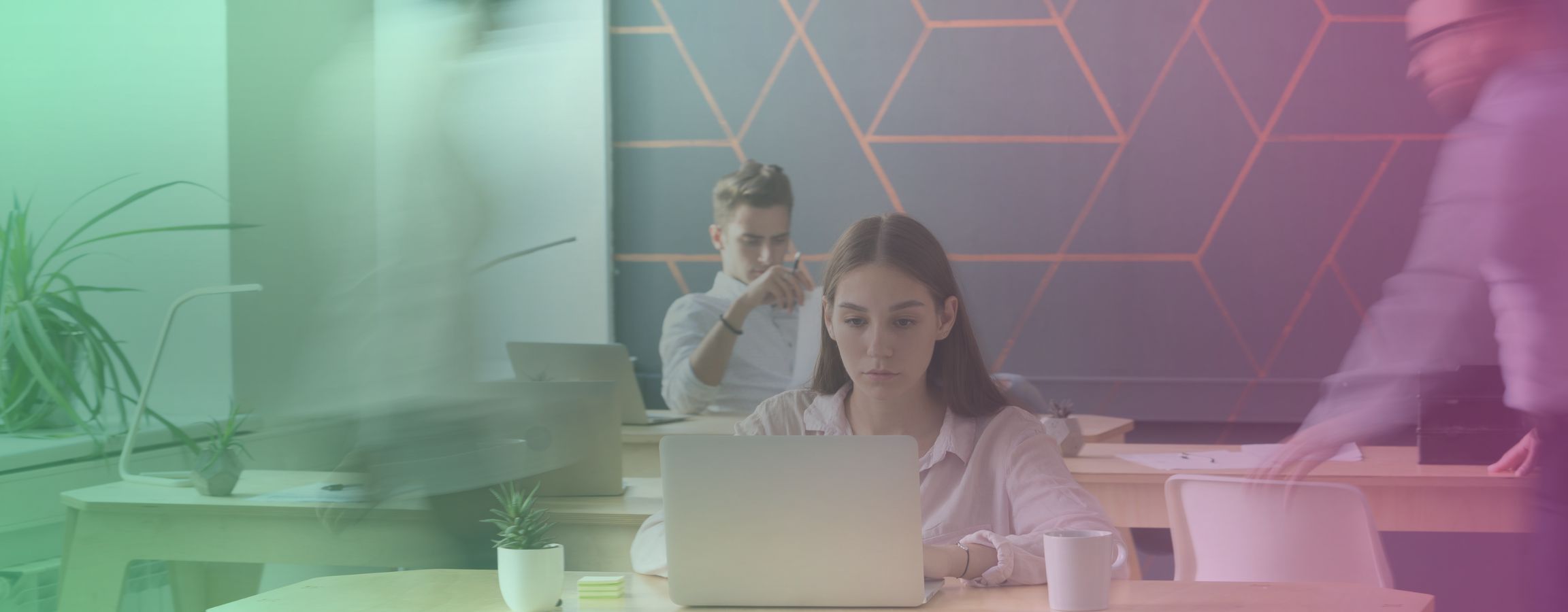 AZ-GRP-Press-Naylor Wintersgill-Hero.jpg