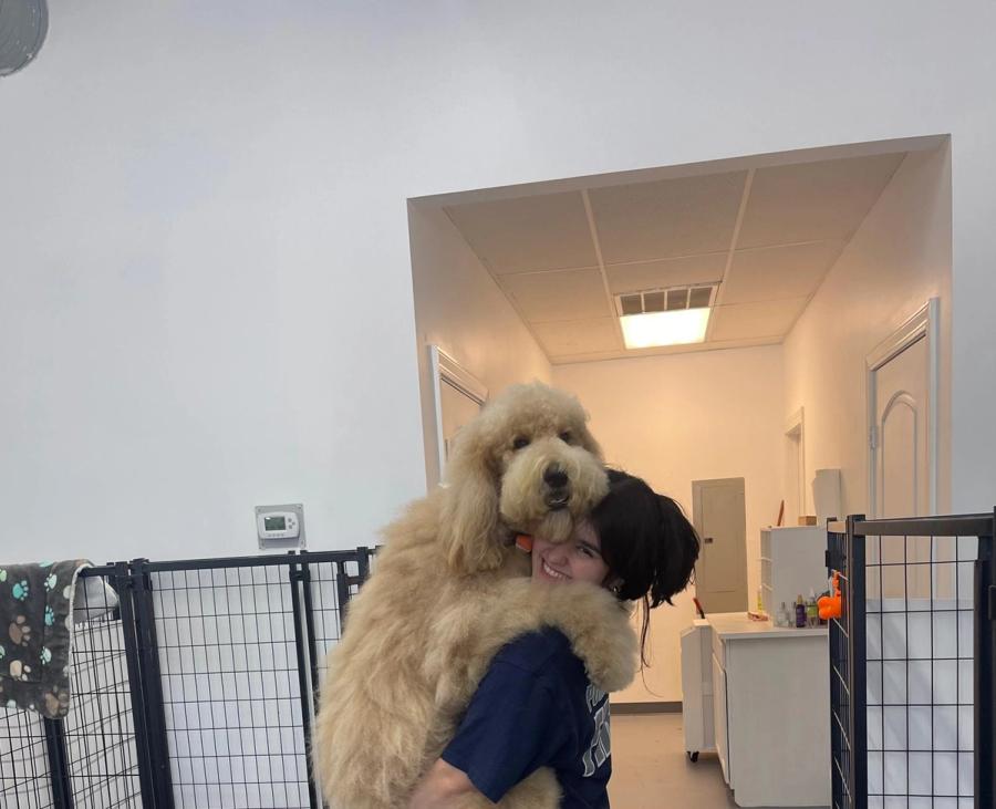 Groomer hugging a large golden Goldendoodle